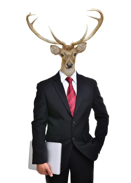 Hombre de negocios con cabeza de animal aislado — Foto de Stock