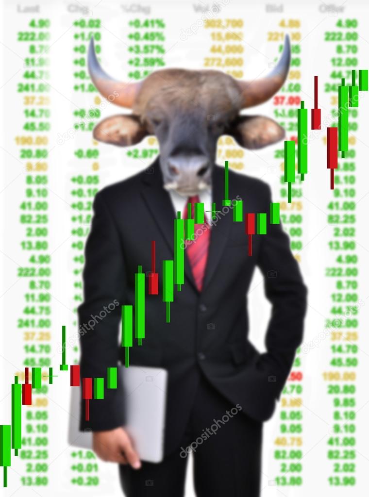 bull market, stock investment concept