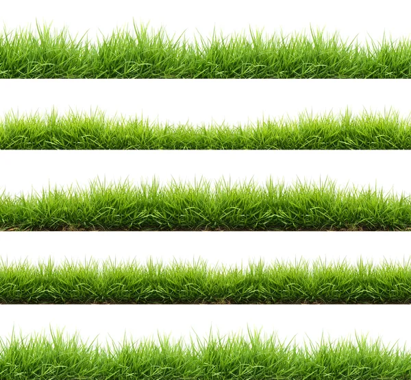 Fresh spring green grass isolated — Stock Photo, Image