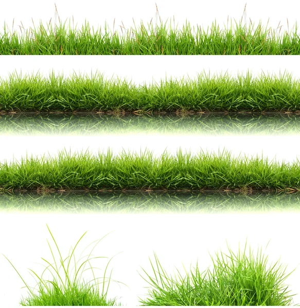 Fresh spring green grass isolated — Stock Photo, Image