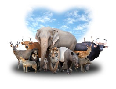 group of asia animals clipart