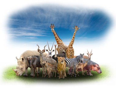 Afrika Hayvanlar grubu