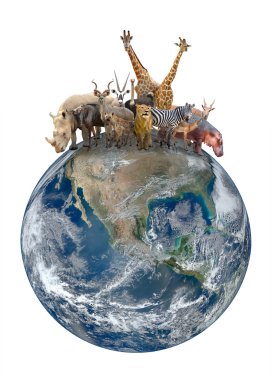 Afrika hayvan seyyare yerküre ile grup