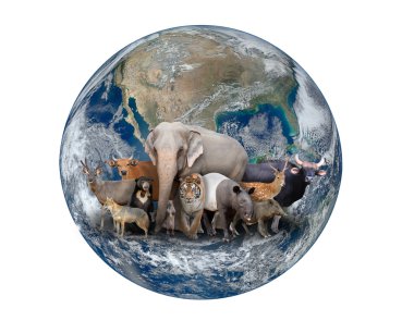 group of asia animal with planet earth clipart