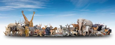animal of the world clipart