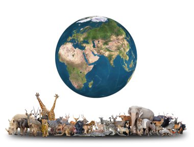 animal of the world with planet earth clipart