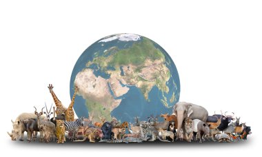 animal of the world with planet earth clipart