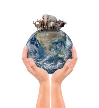 hand hold animal on the earth clipart