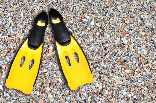 Yellow fins and sand beach — ストック写真