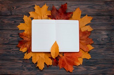 Sonbahar düz kompozisyonu. Aç defterini ve sonbahar yapraklarını. Okula Dönüş konsepti. kopyalama alanı. Sonbahar sezonu. Boş not defteri altın akçaağaç yaprakları. eğitim ve öğrenme arkaplanı