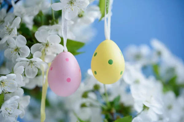 Latar Belakang Paskah Happy Easter Holiday Concept Cute Colorfull Eggs — Stok Foto