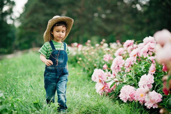 穿着粗斜纹棉布的农民小男孩头戴牛仔帽 头戴盛开的牡丹 春天的时候 花园里的孩子假期 在农场里散步 — 图库照片