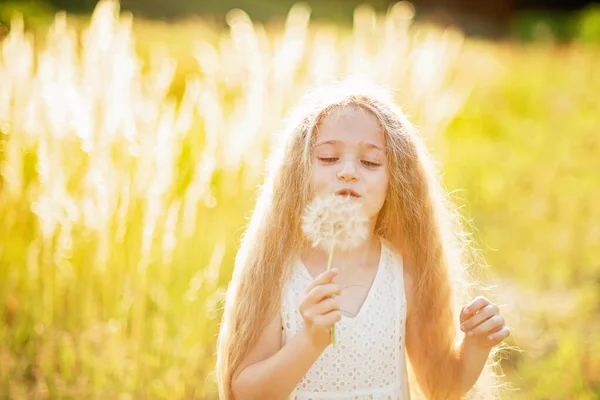 带着大蒲公英的女孩的夏季肖像 花的近照 无过敏的概念 — 图库照片