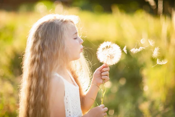 Gelukkig Kind Blaast Paardenbloem Buiten Het Park Zomer Vreugde Doe — Stockfoto