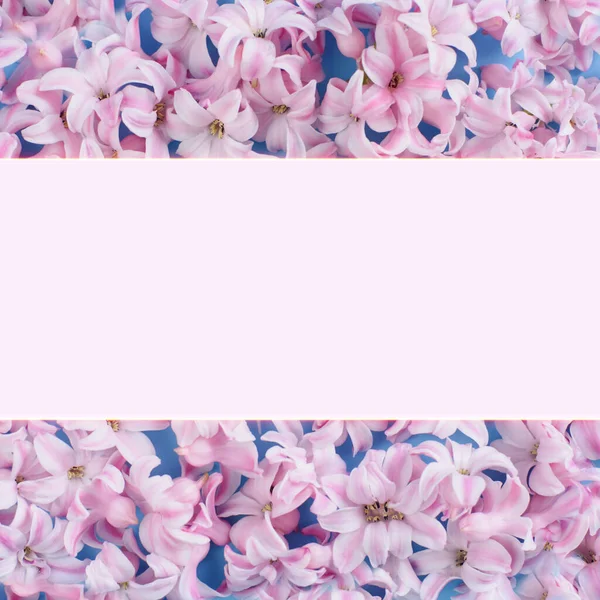 Blomster Sammensætning Lavet Hyacint Pink Blomster Blå Baggrund Ramme Sted - Stock-foto