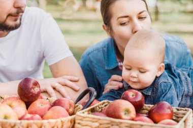 Mutlu aile portresi sarılıyor ve dışarıda birlikte vakit geçiriyorlar. Bahçede küçük bir bebeği olan genç bir anne ve baba. Elma hasadı ve sonbaharda çiftlikte toplama.