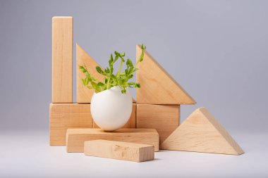 Tahta kürsüde yumurtalı mikroçerezler. Satılık mikro yeşiller. Doğadan gelen vitaminler. Vejetaryen ve sağlıklı yiyecek dağıtım servisi. Taze eko tarım yeşillikleri, bezelye çimeni.