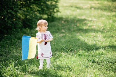 Ukrayna 'nın Bağımsızlık Bayrağı Günü. Anayasa günü. Üzerinde Ukrayna 'nın sarı ve mavi bayrağı olan nakışlı tişörtlü çocuk Ukraynalı kız çocuğu. Ukrayna 'nın bayrak sembolleri. Kiev, Kiev günü