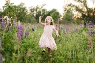 Çiçek açan iki yaşındaki küçük mutlu kız çocuğunun portresi. Mor çiçeklerle dolu tarlada lupinler. Doğa. Doğada çocuk kavramı. Provence. Çocukluk. Yaz tatili