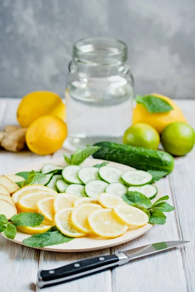 Água Sassi Ingredientes Cozinha Para Fazer Bebida Sassi Limão Pepinos — Fotografia de Stock