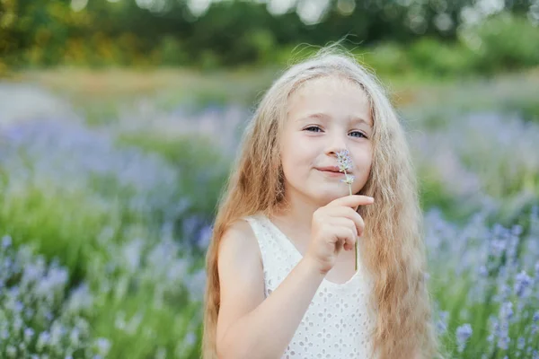 Klein Meisje Het Lavendelveld Kinderen Fantasie Glimlachend Meisje Dat Bloemen — Stockfoto