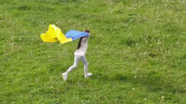 Estilo Vida Menina Correndo Com Bandeira Azul Amarela Ucrânia Campo — Vídeo de Stock