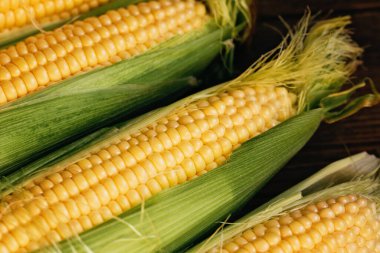 Mısır yiyeceği geçmişi, makro yakın çekim. Sarı mısır tanecikleri. Lezzetli sebze, vejetaryen yemeği