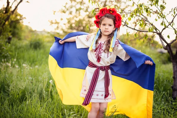 ウクライナの独立記念日 憲法の日だ フィールド内のウクライナの黄色と青のフラグと刺繍シャツVyshyvankaのウクライナの子供の女の子 ウクライナの旗のシンボル キエフ キエフ日 — ストック写真
