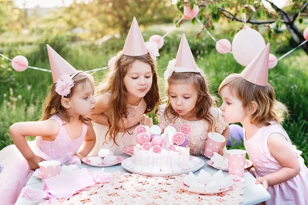 Pesta Ulang Tahun Anak Anak Luar Ruangan Kelompok Anak Anak — Stok Foto