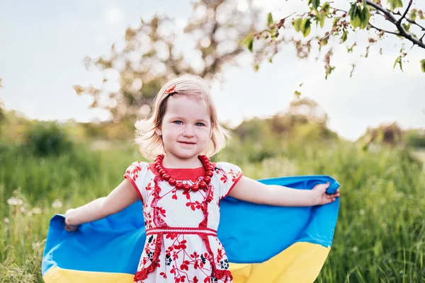 Festa Della Bandiera Dell Indipendenza Ucraina Giorno Della Costituzione Ragazza — Foto Stock