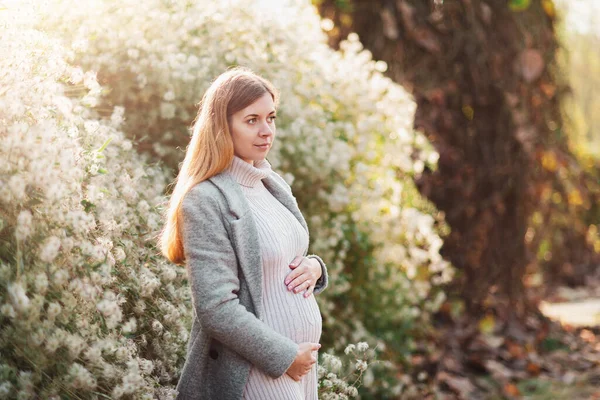 Boldog Anyaság Terhes Bézs Ruhában Sétál Őszi Parkban Sárga Levelek — Stock Fotó