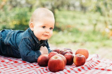 Meyve Bahçesinde Elmalı Çocuk. Hasat Konsepti. Bahçe, bebek sonbahar hasadında meyve yiyor. Elma toplama.