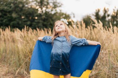 Ukrayna Bağımsızlık Bayrağı Günü. Anayasa günü. Üzerinde Ukrayna 'nın sarı ve mavi bayrağı olan nakışlı tişörtlü çocuk Ukraynalı kız çocuğu. Ukrayna 'nın bayrak sembolleri. Kiev, Kiev günü