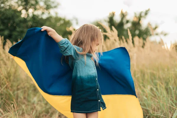 ウクライナ独立記念日 憲法の日だ フィールド内のウクライナの黄色と青のフラグと刺繍シャツVyshyvankaのウクライナの子供の女の子 ウクライナの旗のシンボル キエフ キエフ日 — ストック写真