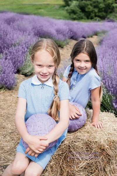 Deux Filles Assises Sur Herbe Verte Tricot Pull Avec Des — Photo