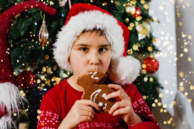 Zencefilli çocuk portresi ve Noel süsü. Noel Baba şapkası takan ve kırmızı pijama giyen çocuk süslenmiş bir Noel ağacının önünde zencefilli kurabiye yiyor.