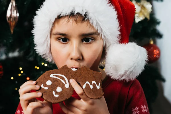 Zencefilli çocuk portresi ve Noel süsü. Noel Baba şapkası takan ve kırmızı pijama giyen çocuk süslenmiş bir Noel ağacının önünde zencefilli kurabiye yiyor.