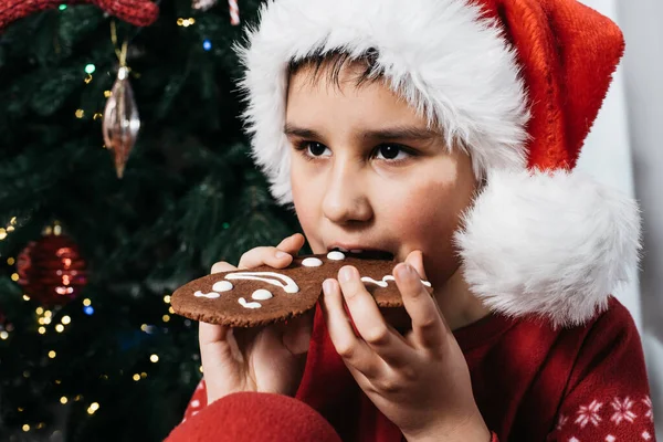 Noel Baba Şapkası Giyen ve Noel Ağacı Festivali Anında Zencefilli Kurabiye Yiyen Çocuk
