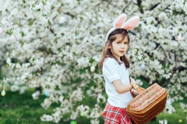 Paskalya yumurtası avı. Bahçede yumurta toplamak için koşan tavşan kulaklı bir kız çocuğu. Paskalya geleneği. Renkli yumurtalarla dolu sepeti olan bebek.
