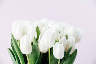 Anneler günü, sevgililer günü, doğum günü kutlaması konsepti. Tebrik kartı. Beyaz narin lalelerden oluşan güzel bir buket. Uzayı kopyala Bahar arka planı. 8 Mart, Uluslararası Kadınlar Günü