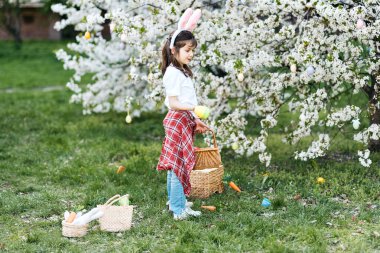Paskalya yumurtası avı. Bahçede yumurta toplamak için koşan tavşan kulaklı bir kız çocuğu. Paskalya geleneği. Renkli yumurtalarla dolu sepeti olan bebek.