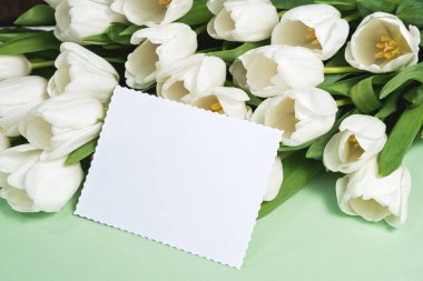 Bahar kartı. Beyaz lalelerle çevrili boş tebrik kartı. Özel tasarım için bahar çiçeği modeli. Düğün davetiyesi düzeni için mükemmel. Mevsimlik bahar konsepti