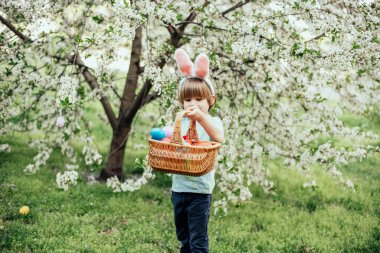Paskalya yumurtası avı. Bahçede yumurta toplamak için koşan tavşan kulaklı çocuk. Paskalya geleneği. Renkli yumurtalarla dolu sepeti olan bebek.