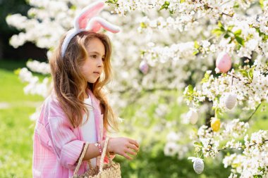 Paskalya yumurtası avı. Bahçede yumurta toplamak için koşan tavşan kulaklı bir kız çocuğu. Paskalya geleneği. Renkli yumurtalarla dolu sepeti olan bebek.