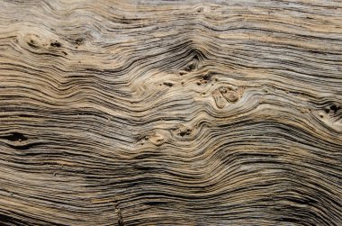 Ahşap dokuyu kapat.