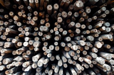 Yakacak odun / kuru odun