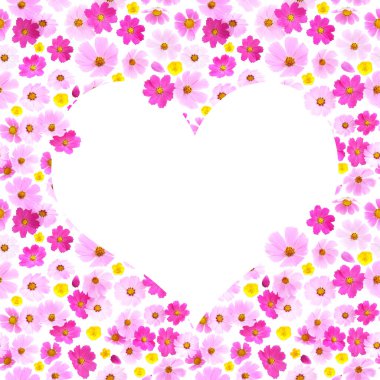 beyaz arkaplanda çerçeve