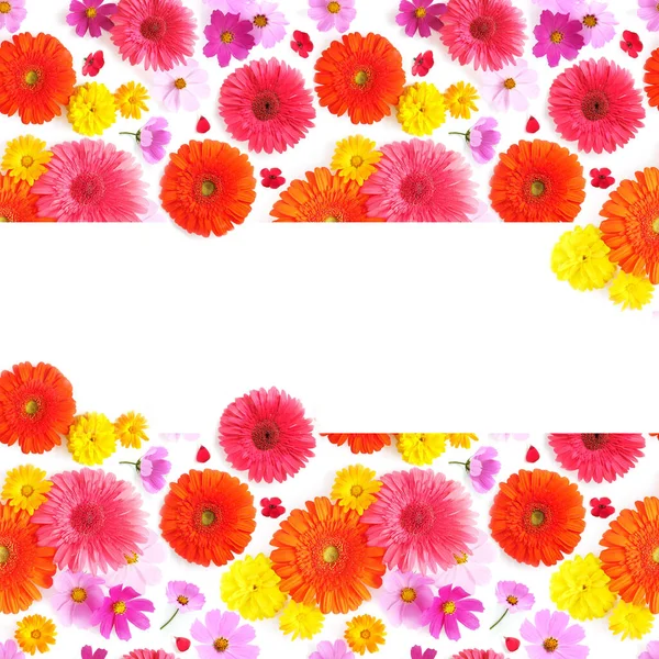 Blommor Och Gerberas Bakgrund — Stockfoto