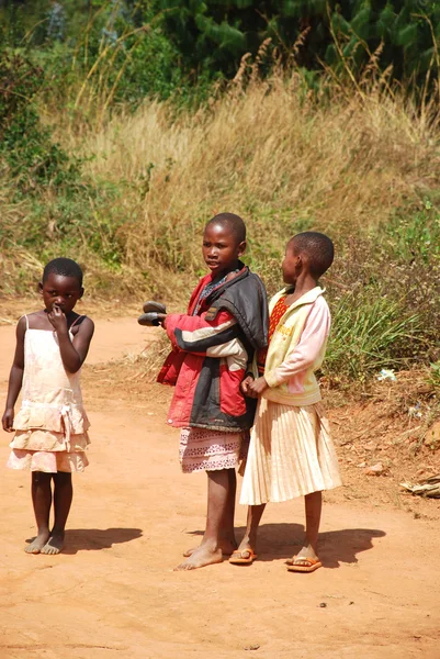 As crianças da montanha Kilolo na Tanzânia - África 18 — Fotografia de Stock