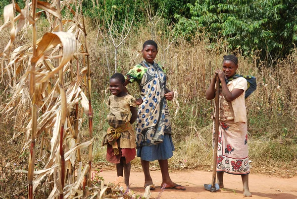 Děti Kilolo hory v Tanzanii - Afrika 38 — Stock fotografie